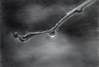 Vinay Baindur: 'light', 2012 Graphite Drawing, Light. Its on paper...