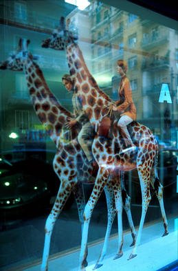 Vincenzo Montella: 'giraffes', 2001 Cibachrome Photograph, Visionary. 