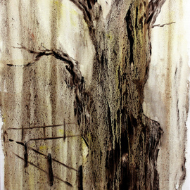 crying oak  By Vladimir Volosov