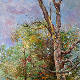old tree By Vladimir Volosov