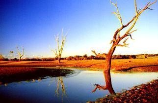 Wayne Quilliam: 'Australian Outback', 2001 Color Photograph, undecided. Aboriginal Desert Watering Hole...
