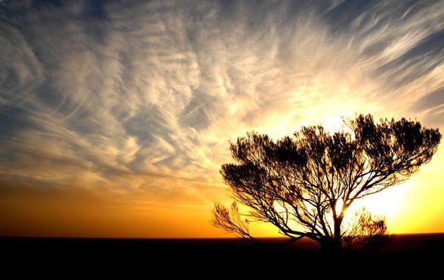 Artist Wayne Quilliam. 'Silverton Sunset' Artwork Image, Created in 2005, Original Photography Infrared. #art #artist