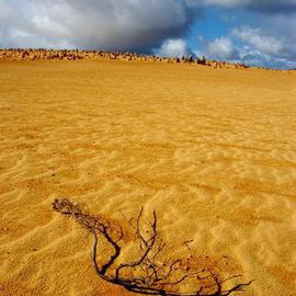 Wayne Quilliam: 'Western Australian Desert', 2005 Color Photograph, Landscape. 
