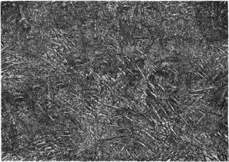 Wieslaw Haladaj: 'APPEARANCES1', 2013 Linoleum Cut, Abstract Figurative.      BLACK AND WHITE     ...