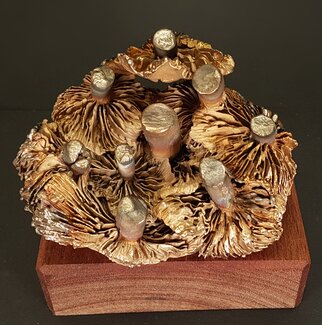 Wichert Van Engelen: 'underworld', 2021 Bronze Sculpture, Figurative. Mushroom, finearts, detailed, nature...