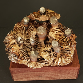 Wichert Van Engelen: 'underworld', 2021 Bronze Sculpture, Figurative. Artist Description: Mushroom, finearts, detailed, nature...