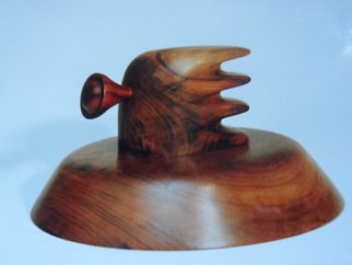 Wilson Sasso: 'velox', 2005 Woodworking Art, Abstract. Made from imbuia wood and pau- ferro. turned, and sculpted. ...