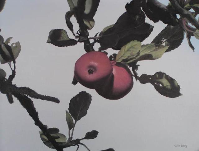Artist Peter Winberg. 'Apples In The Sun' Artwork Image, Created in 2003, Original Painting Other. #art #artist