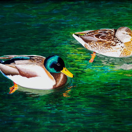 Wm Kelly Bailey: 'Lake Mohave Mallards', 2016 Acrylic Painting, Wildlife. Artist Description: We saw these Mallard Ducks at Lake Mohave on the Colorado River in Northwest Arizona, they were wintering there.  The male has amazing colors but the female has equally amazing, though more subtle, patterns and designs in her feathers.  At wkb_ art sold this painting to a private collector ...
