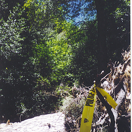 Rickie Dickerson: 'Bad Vibes', 2005 Color Photograph, Americana. Artist Description:  I came across this horrid implication of something very ugly while hiking in the beautiful mountains of Southern California. Scary. ...
