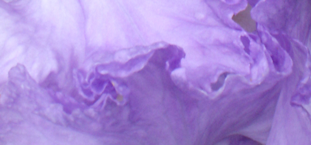 Artist Rickie Dickerson. 'Purple Wave' Artwork Image, Created in 2006, Original Digital Other. #art #artist