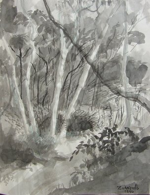 Dana Zivanovits: 'FOREST STREAM', 1986 Ink Painting, Landscape.  India ink on acid free sketch paper- a signed and dated Zivanovits original. Note ; Paper is white despite photo. ...