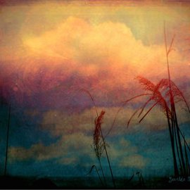 Zunilda Sarete: 'Brooklyn Sky I', 2010 Other Photography, Inspirational. Artist Description:      Landscape photomanipulation using texture.     ...