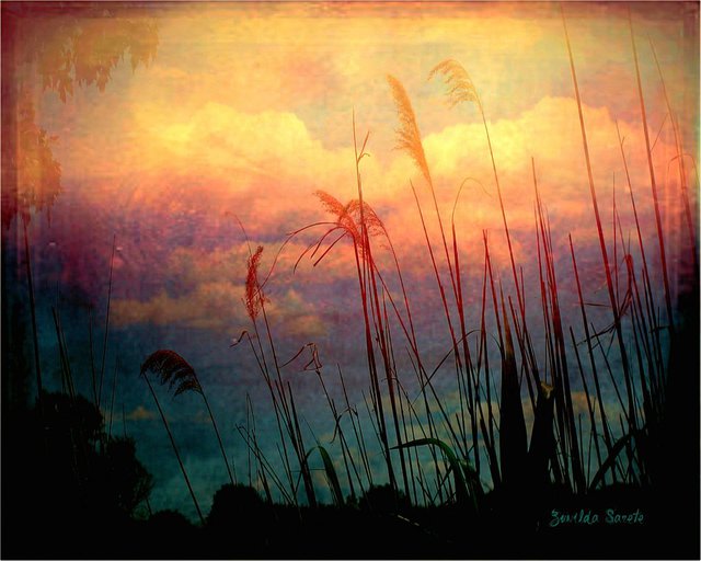 Zunilda Sarete  'Brooklyn Sky II', created in 2010, Original Photography Other.