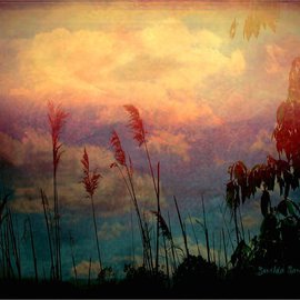 Zunilda Sarete: 'Brooklyn Sky III', 2010 Other Photography, Inspirational. Artist Description:        Landscape photomanipulation using texture.       ...
