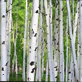 Steve Tohari: 'aspen tree trunks', 2018 Digital Photograph, Nature. Artist Description: In a grove of Aspen trees, trunks crowd together in a visually compressed telephoto shot. The photograph was altered with digital tools to resemble a painted image. ...