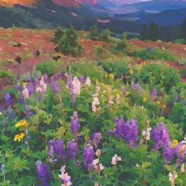 wildflowers crested butte 1 By Steve Tohari